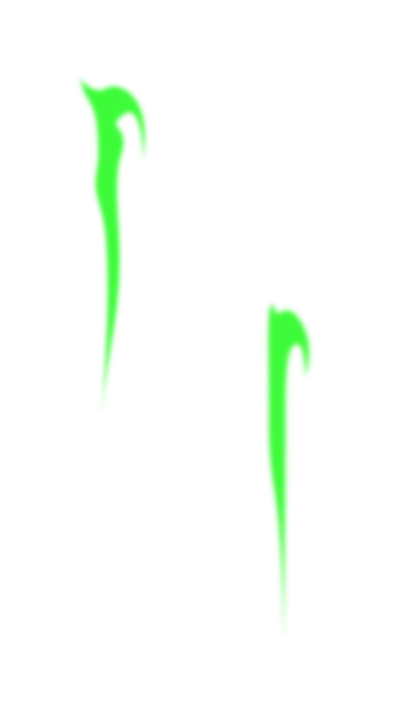 Blaza Studio Graphic