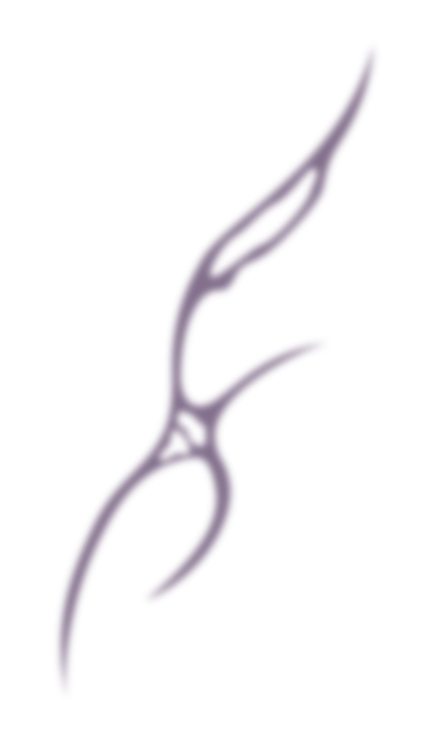 Blaza Studio Graphic